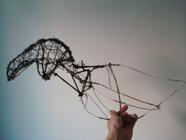 bird - head up